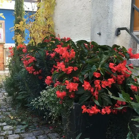 Les Jardins D'euridice Haguenau