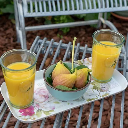 Les Jardins D'euridice Apartamento Haguenau